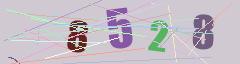 CAPTCHA validation image