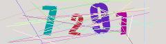 CAPTCHA validation image