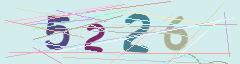 CAPTCHA validation image