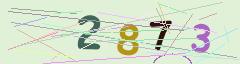 CAPTCHA validation image