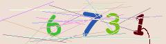 CAPTCHA validation image