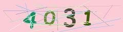 CAPTCHA validation image