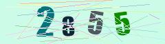 CAPTCHA validation image