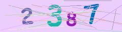 CAPTCHA validation image