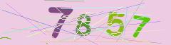 CAPTCHA validation image