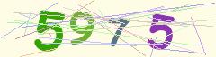 CAPTCHA validation image