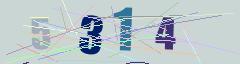 CAPTCHA validation image