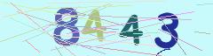 CAPTCHA validation image
