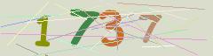 CAPTCHA validation image
