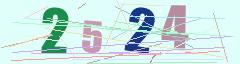 CAPTCHA validation image