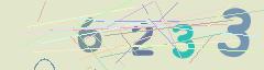 CAPTCHA validation image