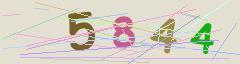 CAPTCHA validation image