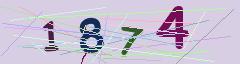 CAPTCHA validation image