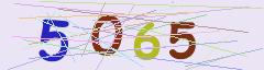 CAPTCHA validation image