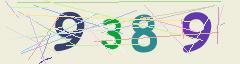 CAPTCHA validation image