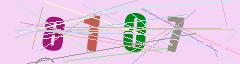 CAPTCHA validation image