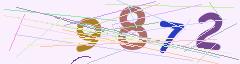 CAPTCHA validation image