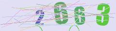 CAPTCHA validation image