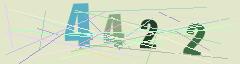 CAPTCHA validation image