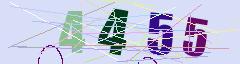 CAPTCHA validation image