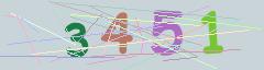CAPTCHA validation image
