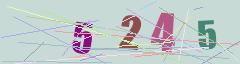 CAPTCHA validation image