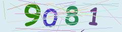 CAPTCHA validation image