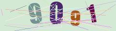 CAPTCHA validation image