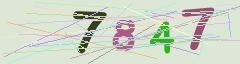 CAPTCHA validation image