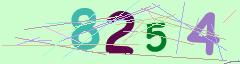CAPTCHA validation image
