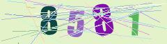 CAPTCHA validation image