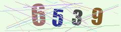 CAPTCHA validation image