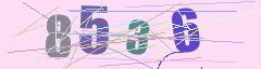 CAPTCHA validation image