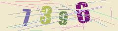 CAPTCHA validation image