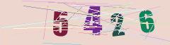 CAPTCHA validation image