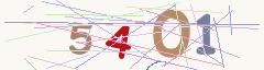 CAPTCHA validation image