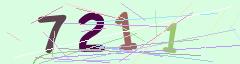 CAPTCHA validation image