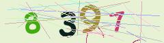 CAPTCHA validation image