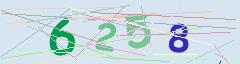 CAPTCHA validation image