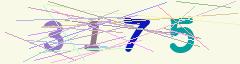 CAPTCHA validation image