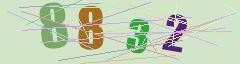 CAPTCHA validation image