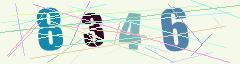 CAPTCHA validation image