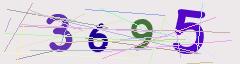 CAPTCHA validation image