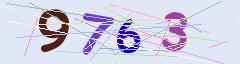 CAPTCHA validation image