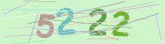 CAPTCHA validation image