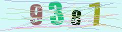 CAPTCHA validation image