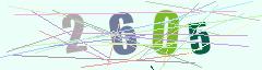 CAPTCHA validation image
