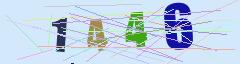 CAPTCHA validation image