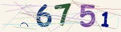 CAPTCHA validation image