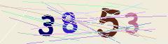 CAPTCHA validation image
